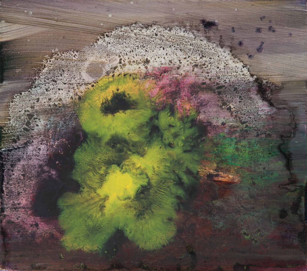 Flowers
2017
Oil on canvas
40 x 45 cm