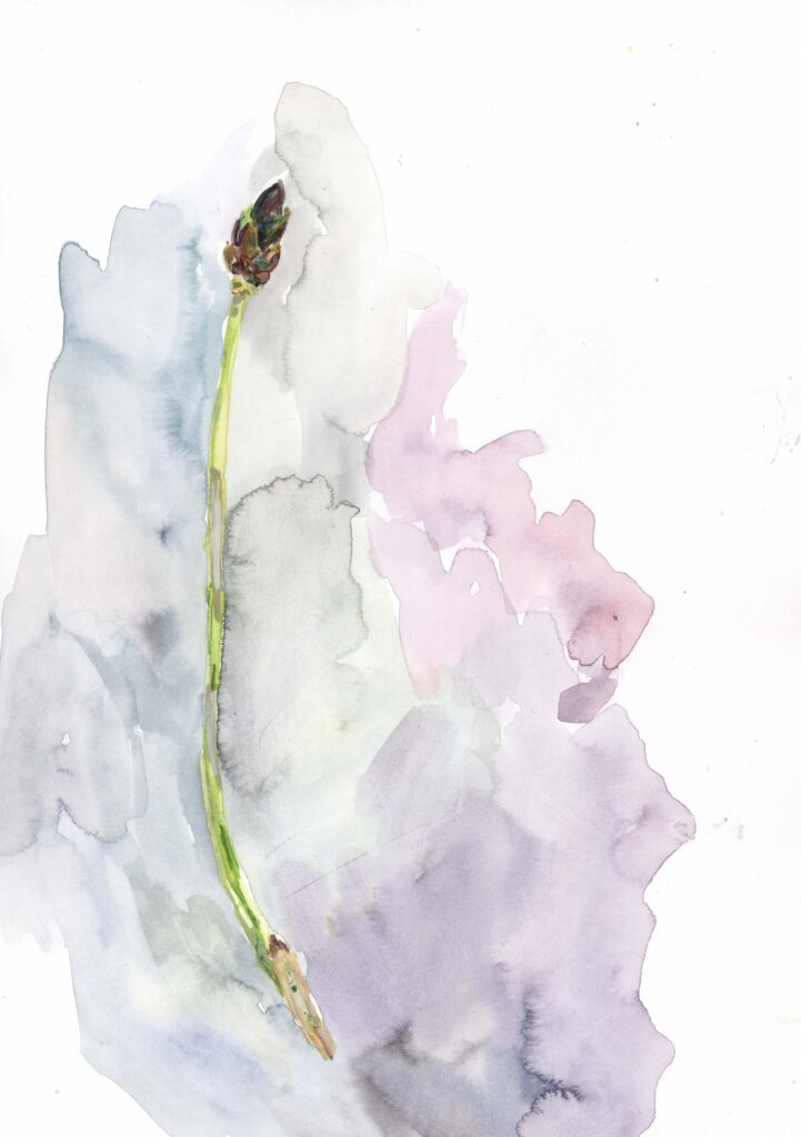 o.T.
2015
Aquarell on paper
20,9 x 14,7 cm