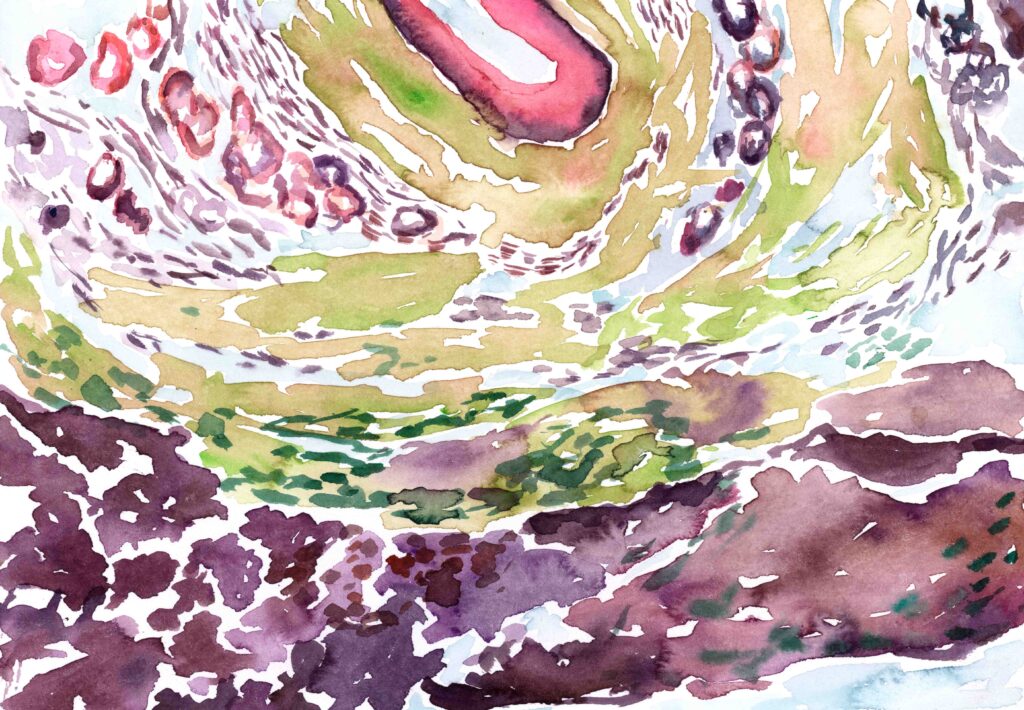 o.T.
2016
Aquarell on paper
17 x 24 cm