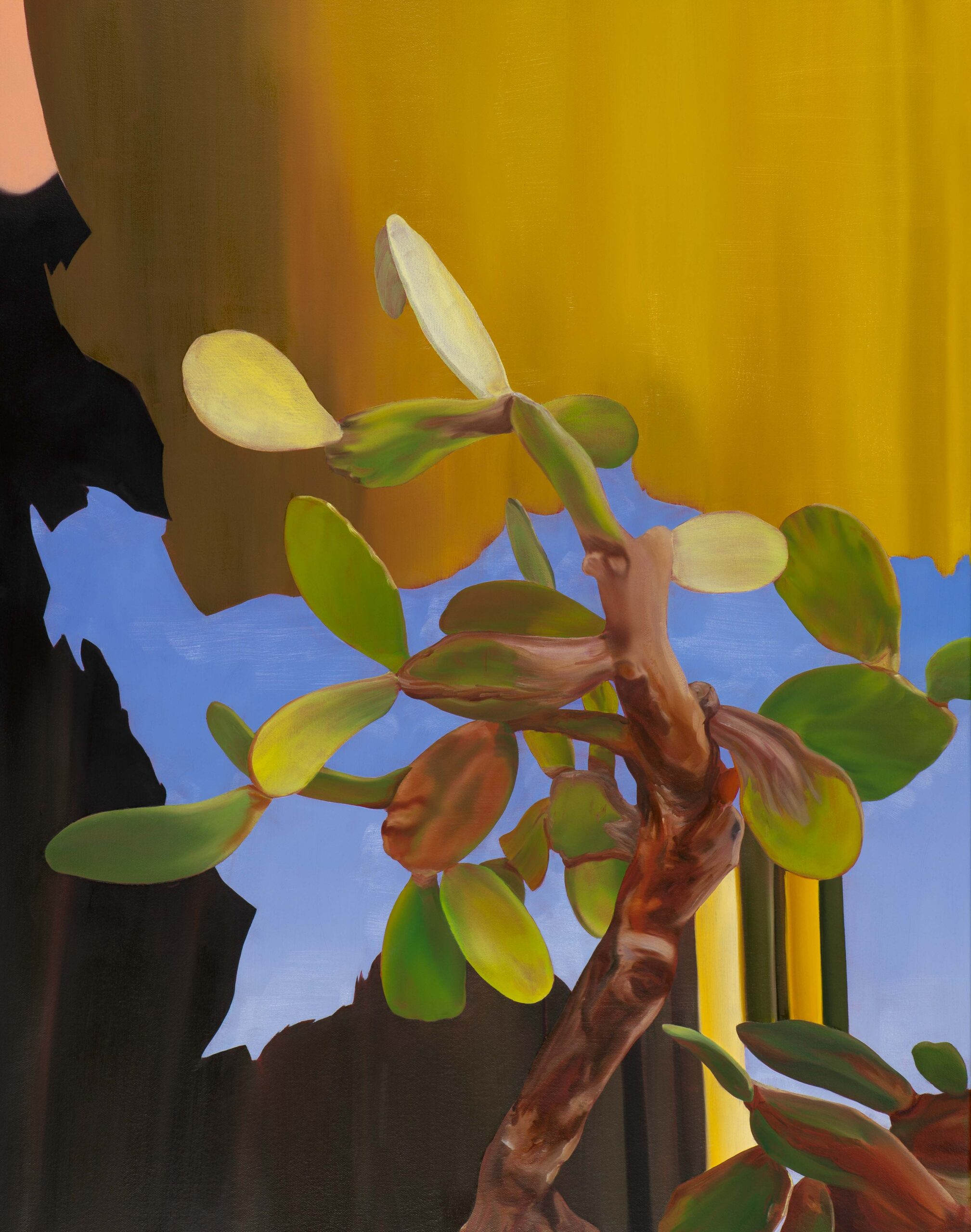 Sentiero Azzurro
2023
Oil on canvas
115 x 90 cm