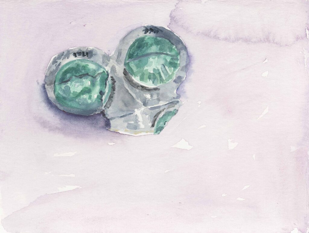 Aspirin
2016
Aquarell on paper
12 x 15,8 cm
