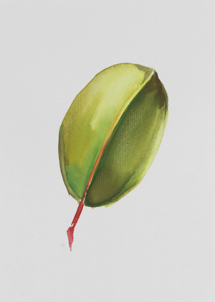 o.T.
2025
Aquarell on paper
24 x 17 cm