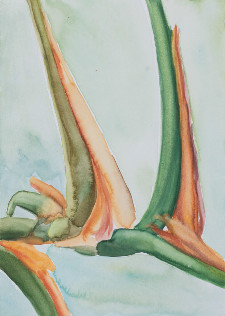 o.T.
2025
Aquarell on paper
24 x 17 cm